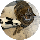 Jennifer Ashburn profile picture